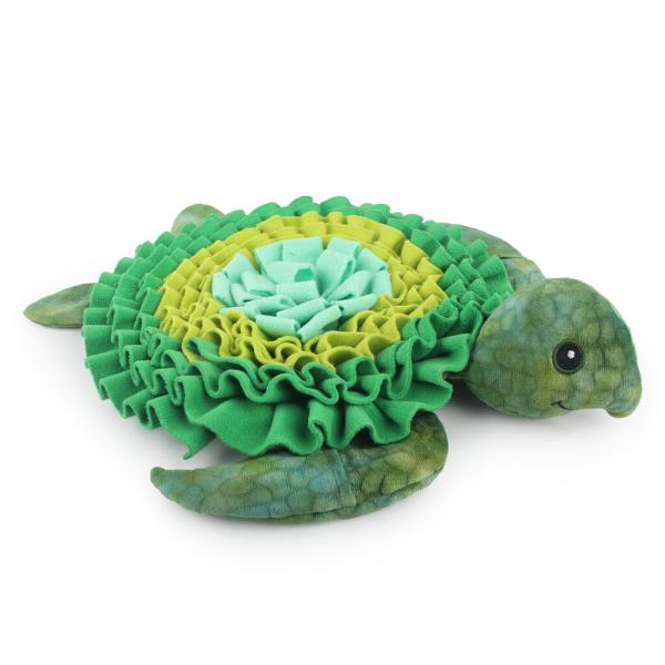 Schnüffelteppich-Schildkröte